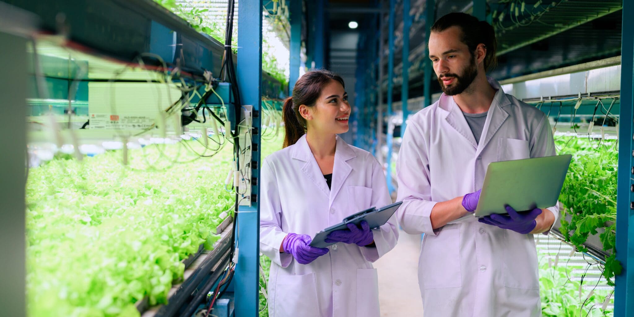 R&D Tax Relief