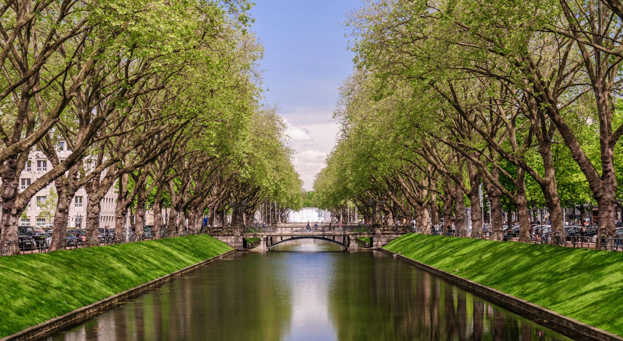 The International Tax Round Summer 2024
