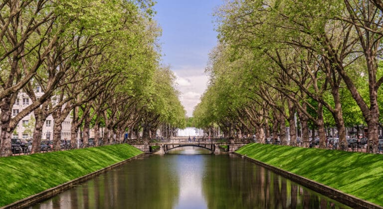 The International Tax Round Summer 2024