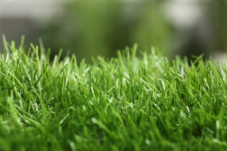 Gerald Edelman advises Profectus Capital Partners Ltd on the acquisition of Vistafolia Ltd