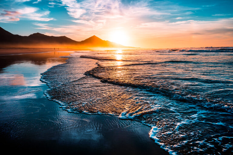 The VAT Bulletin June 2025