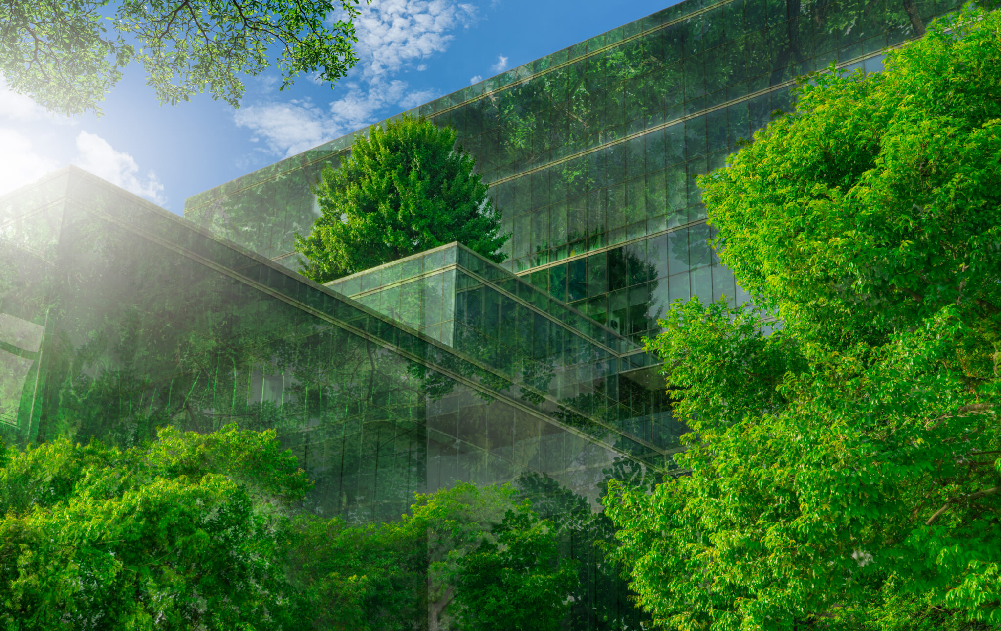 The future of real estate: ESG and technology at the forefront