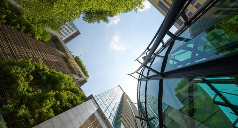 The benefits of creating an Impact Report – for B Corps and beyond 