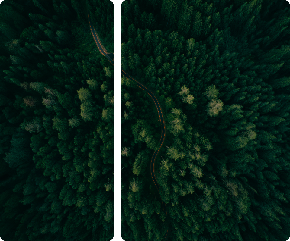 Driving business growth through sustainability