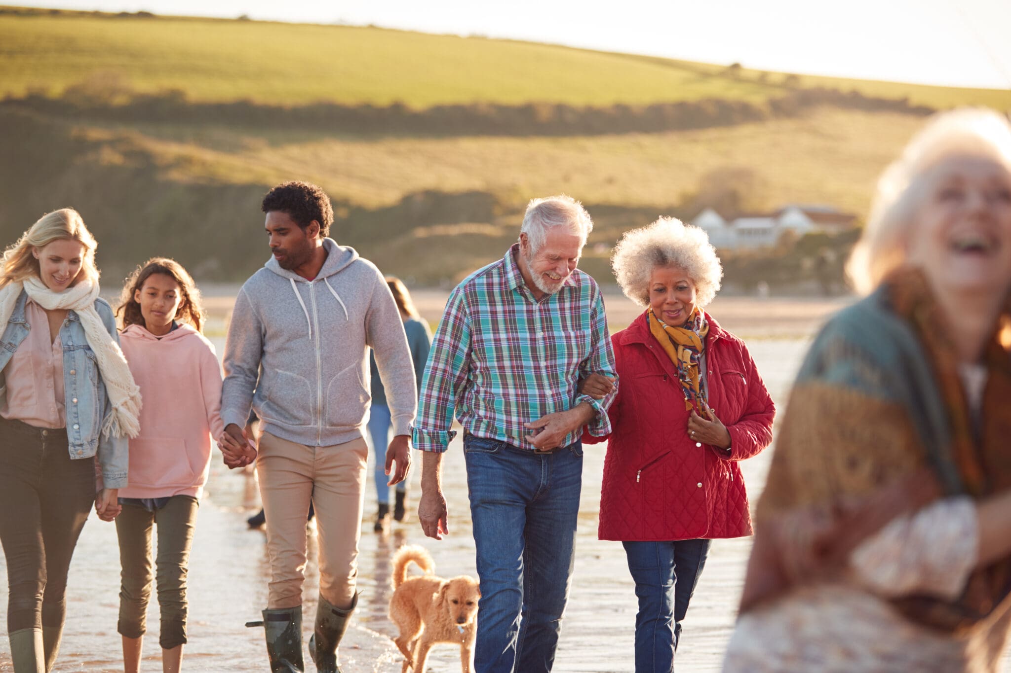 How does a family office compare to other wealth management options?